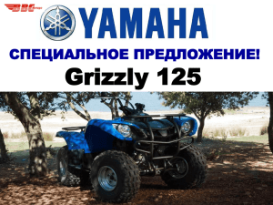 СПЕЦИАЛЬНОЕ ПРЕДЛОЖЕНИЕ! Grizzly 125