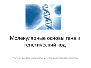 Молекулярные основы гена и генетический код