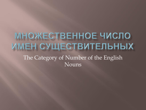 The Category of Number of the English Nouns