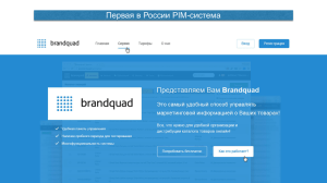 - Brandquad.ru