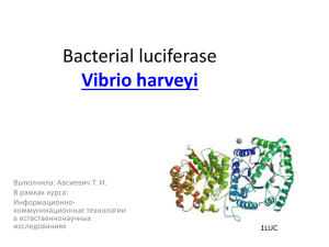Bacterial luciferase SpdbV