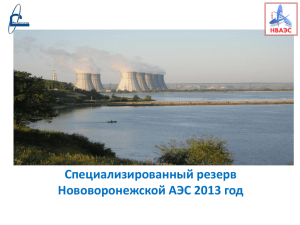 Специализированный резерв Нововоронежской АЭС 2013 год