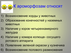 Проверочная работа по теме "Эволюция". Загрузить: 178.1Kb