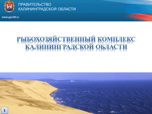 1 - Правительство Калининградской области