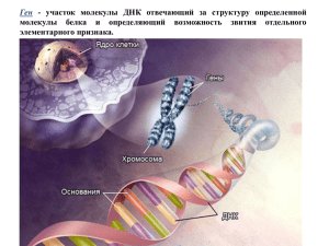 Ген - участок молекулы ДНК отвечающий за структуру определенной