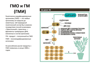 ГМО и ГМ (ГМИ)