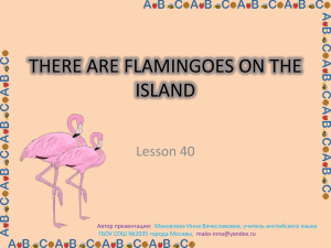 40. THERE ARE FLAMINGOES ON THE ISLAND