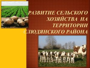 Презентация "Развитие сельского хозяйства в Слюдянском