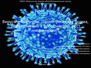 Вирусы и бактерии. (Геометрическая форма, расположение в пространстве, рост численности.)