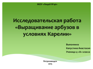 Выращивание арбузов в условиях Карелии.pp