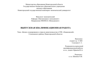 Министерство образования Нижегородской области Государственное бюджетное образовательное учреждение высшего образования