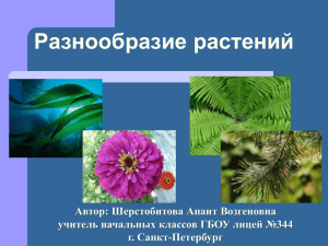 Разнообразие растений Автор: Шерстобитова Анаит Возгеновна учитель начальных классов ГБОУ лицей №344