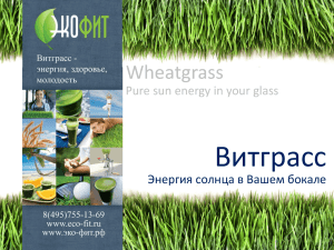 Витграсс Wheatgrass Энергия солнца в Вашем бокале Pure sun energy in your glass