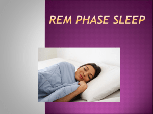 REM phase sleep