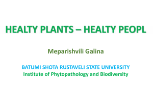 Healty Plants - Healty Peopl. Meparishvili G. Batumi 2017