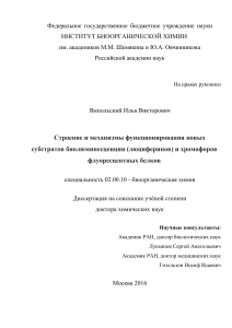 диссертация Ямпольский