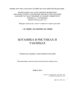 Наглядные рисунки по ботанике. 