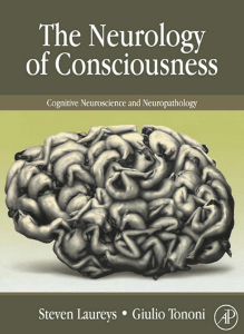 epdf.pub the-neurology-of-consciousness (1)