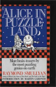 alice in puzzle land