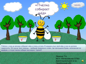 тренажер пчелка С-З