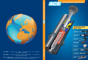 ACE catalogue 2013 ru