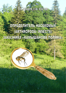 Определитель насекомых заказника Камышова Поляна