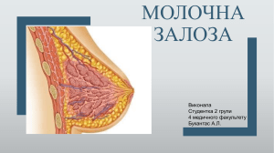 Клінічна анатомія молочної залози (Букантас А.Л.)