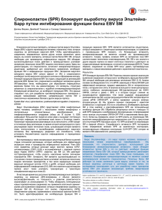 Спиронолактон (SPR) - блокирование выработки вируса Эпштейна-Барр
