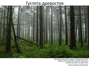 Доклад - Морфология леса. Сажин Д.С, ЛДб-21(а)