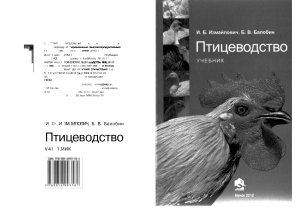 Птицеводство Измайлович 2012