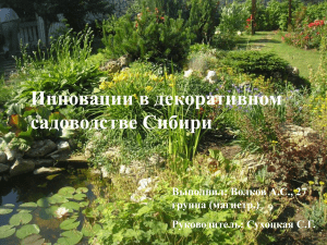 Инновации в декоративном садоводстве Сибири