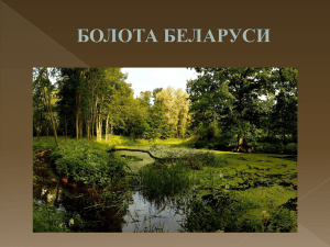 Растительность болот Беларуси
