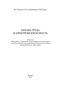 Chekulaev i dr - ohrana truda i electrobezopasnost - 2012