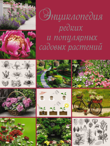 Яковлева О.В. - Энциклопедия редких и популярных садовых растений - 2012
