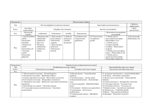 Систематика таблица