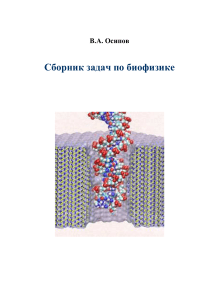 В.А. Осипов - Сборник задач по биофизике