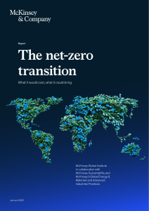 The NetZero Transiction McKinsy
