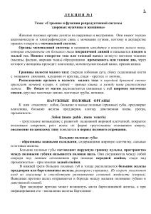 r.-Zdorovaya-semya-lektsiya-1