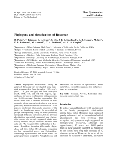 Phylogeny and classiﬁcation of Rosaceae