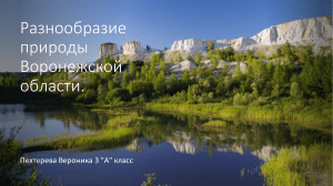 Презентация Разнообразие природы Воронежской области 3 класс