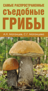 Матанцев А.Н., Матанцева С.Г. - Самые распространенные съедобные грибы (Карманный атлас-определитель) - 2015