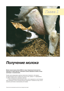 Технология производства молочных продуктов Dairy Hand Book RUS ТетраПак