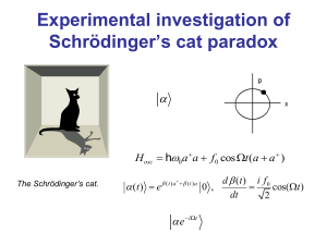 Experimental investigation of Schrödinger’s cat paradox