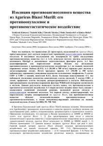 Изоляция противоангиогенного вещества из Agaricus Blazei Murill: его противоопухолевое и противометастатическое воздействие