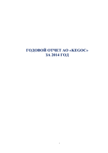 1.1 годовой отчет 2014