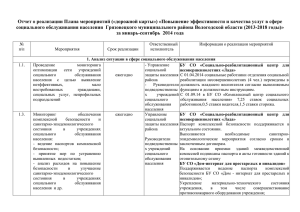 Отчет о реализации Плана мероприятий («дорожной карты