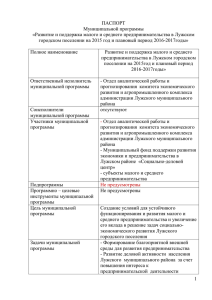 6. Анализ рисков реализации муниципальной программы и