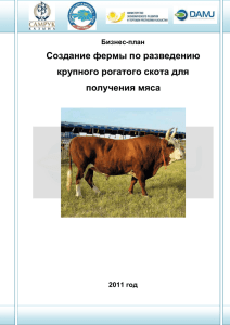 Бизнес-план: Открытие фермы по разведению мясных пород скота