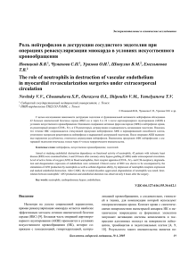 Роль нейтрофилов в деструкции сосудистого эндотелия при