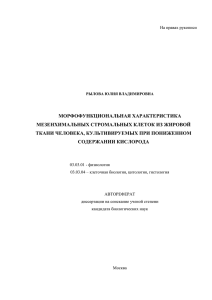 МОРФОФУНКЦИОНАЛЬНАЯ ХАРАКТЕРИСТИКА МЕЗЕНХИМАЛЬНЫХ СТРОМАЛЬНЫХ КЛЕТОК ИЗ ЖИРОВОЙ ТКАНИ ЧЕЛОВЕКА, КУЛЬТИВИРУЕМЫХ ПРИ ПОНИЖЕННОМ